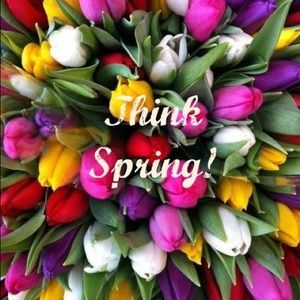 🌷Think Spring🌷